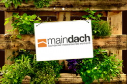 Wir spenden den KlimaMeter